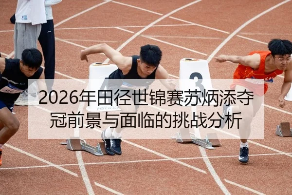 nian-tian-jing-shi-jin-sai-su-bing-tian-duo-guan-qian-jing-yu-mian-lin-de-tiao-zhan-fen-xi-2-381.jpg