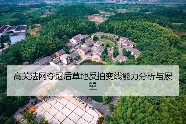 高芙法网夺冠后草地反拍变线能力分析与展望