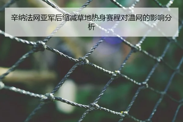 辛纳法网亚军后缩减草地热身赛程对温网的影响分析