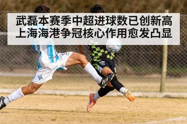 武磊本赛季中超进球数已创新高 上海海港争冠核心作用愈发凸显